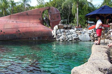 sharks lagoon|View topic .